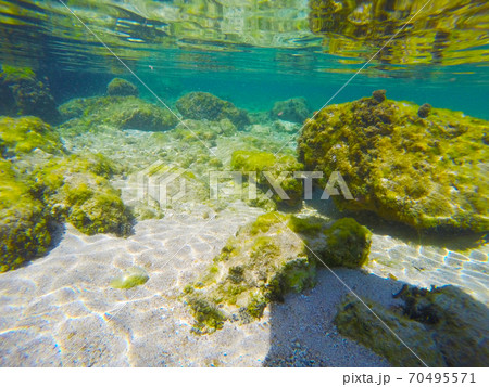 Colorful sea floor in Alghero 70495571