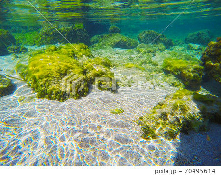 White sand and rocks in Alghero sea floor 70495614