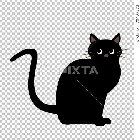 猫イラスト 70497373