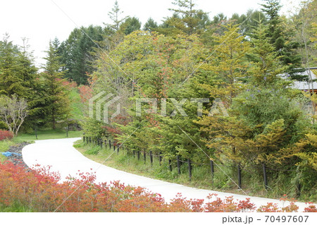 軽井沢の秋 70497607