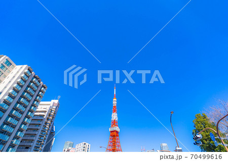 芝公園から見た東京タワー 【東京都】 芝公園から見た東京タワー 【東京都】 70499616
