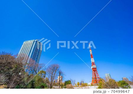 芝公園から見た東京タワー 【東京都】 芝公園から見た東京タワー 【東京都】 70499647