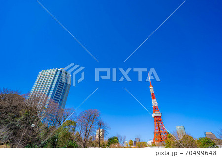 芝公園から見た東京タワー 【東京都】 芝公園から見た東京タワー 【東京都】 70499648