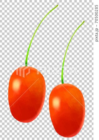 グミの実のイラスト素材