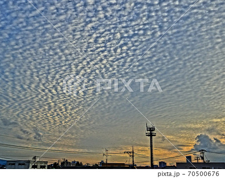 夕焼けの鱗雲 夕焼けの鱗雲 70500676