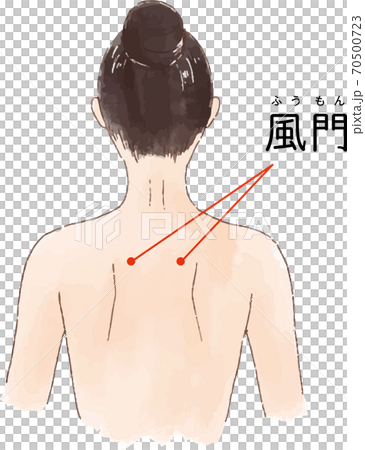ツボ・経穴「風門」の手描き風イラスト 70500723