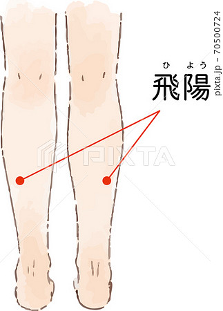 ツボ 経穴 飛陽 の手描き風イラストのイラスト素材