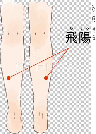 ツボ・経穴「飛陽」の手描き風イラスト 70500724