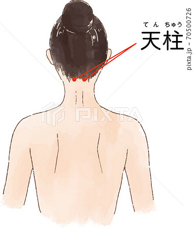 ツボ 経穴 天柱 の手描き風イラストのイラスト素材