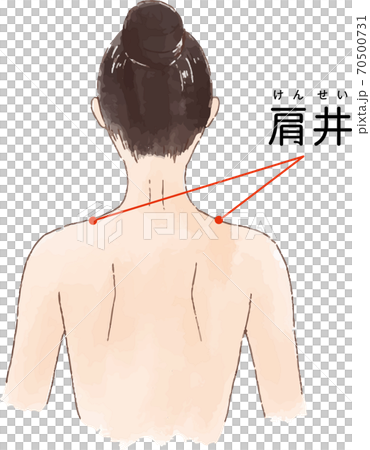 ツボ・経穴「肩井」の手描き風イラスト 70500731