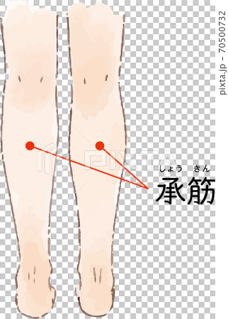 ツボ・経穴「承筋」の手描き風イラスト 70500732