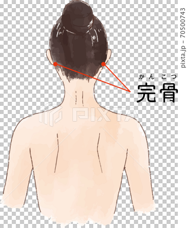 ツボ 経穴 完骨 の手描き風イラストのイラスト素材