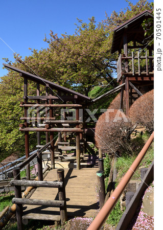 春の松田山 西平畑公園 滑り台 70501445