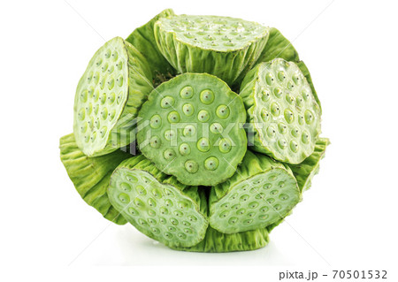 Lotus seed isolated on white background 70501532