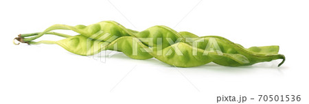 Tropical stinking edible beans on white background (Parkia Speciosa) 70501536