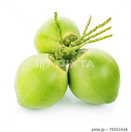 green coconut an isolated on white background 70501636