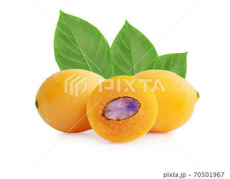 Marian plum fruit isolated on white background Marian plum fruit isolated on white background 70501967