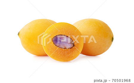 Marian plum fruit isolated on white background Marian plum fruit isolated on white background 70501968