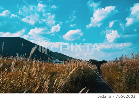 秋風に誘われて登山に向かう 70502003