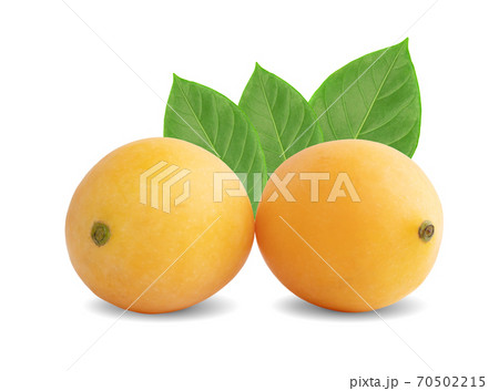 Marian plum fruit isolated on white background Marian plum fruit isolated on white background 70502215