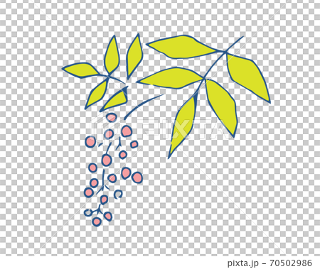 手寫的風格:南天的插圖 手寫的風格:南天的插圖 70502986