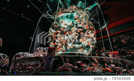 大きな金魚鉢 70503006