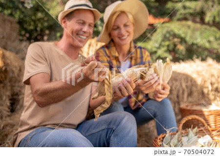 Male and female farmers shucking maize cobs 70504072