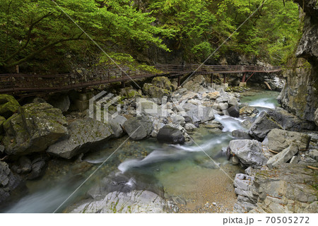 巌立峡の小坂川　小坂の滝めぐり（岐阜県下呂市） 70505272
