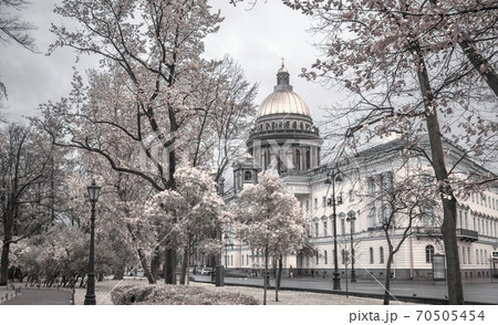 Saint Isaac's Cathedral Saint Isaac's Cathedral 70505454