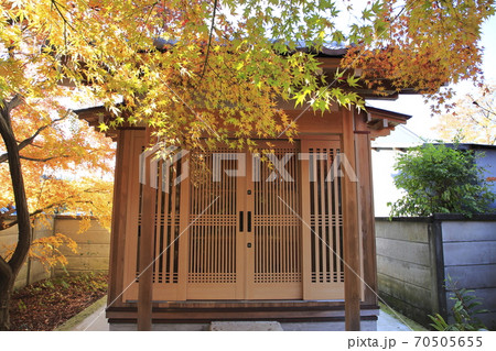 紅葉 薬師寺 足立区伊興 紅葉 薬師寺 足立区伊興 70505655