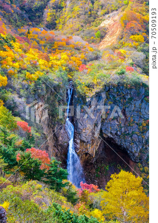 紅葉の不帰の滝(縦) 紅葉の不帰の滝(縦) 70509193