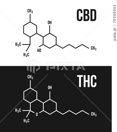CBD and THC molecular structure illustrations. Cannabinol and Tetrahydrocannabinol chemistry cannabis formula vector CBD and THC molecular structure illustrations. Cannabinol and Tetrahydrocannabinol chemistry cannabis formula vector 70509303