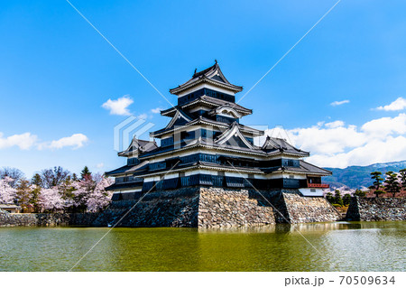 長野県松本市　松本城と桜 （天守全景と内堀） 70509634