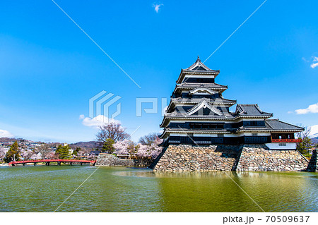 長野県松本市　松本城と桜 （天守全景と内堀） 70509637