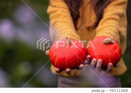 Pumpkin season. Two small round orange ripe raw pumpkins in hands. 70511368
