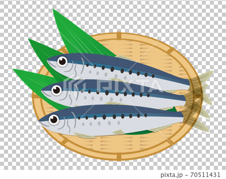 イワシのイラストレーション 70511431