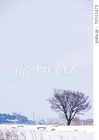 「埼玉県」見沼田んぼに佇む一本の木と雪景色 「埼玉県」見沼田んぼに佇む一本の木と雪景色 70511673