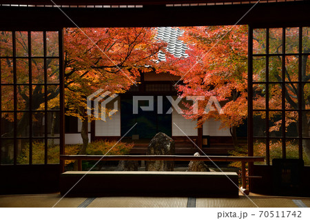 建仁寺の紅葉 建仁寺の紅葉 70511742