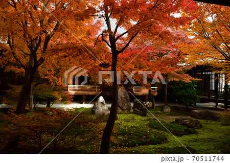 建仁寺の紅葉 70511744