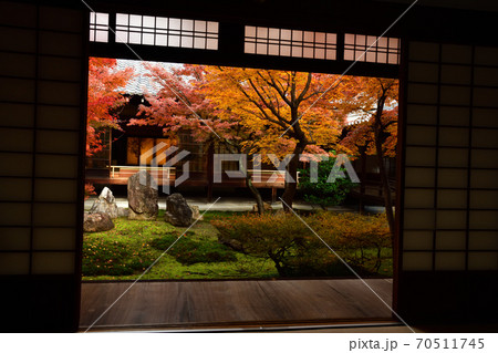 建仁寺の紅葉 70511745