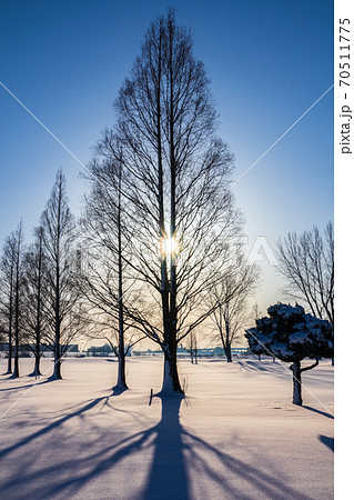 「埼玉県」荒川河川敷の雪景色 「埼玉県」荒川河川敷の雪景色 70511775