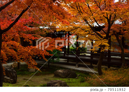 建仁寺の紅葉 建仁寺の紅葉 70511932
