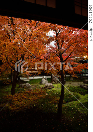 建仁寺の紅葉 建仁寺の紅葉 70511934