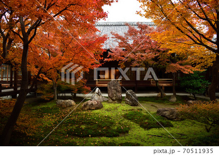 建仁寺の紅葉 建仁寺の紅葉 70511935
