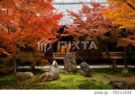 建仁寺の紅葉 建仁寺の紅葉 70511936