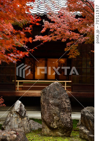 建仁寺の紅葉 建仁寺の紅葉 70511937