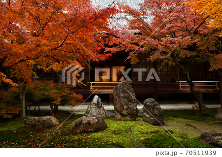 建仁寺の紅葉 建仁寺の紅葉 70511939