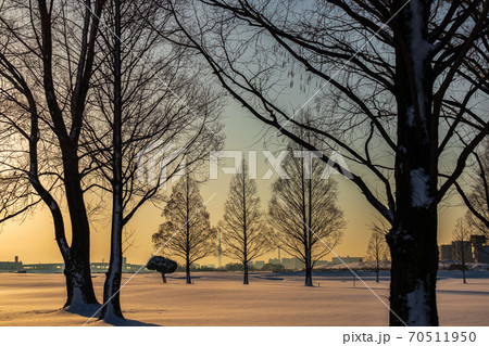 「埼玉県」積雪の荒川河川敷が朝焼けに染まる雪景色 70511950