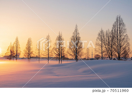 「埼玉県」積雪の荒川河川敷が朝焼けに染まる雪景色 「埼玉県」積雪の荒川河川敷が朝焼けに染まる雪景色 70511960