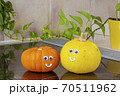カボチャと仲間たち11 70511962